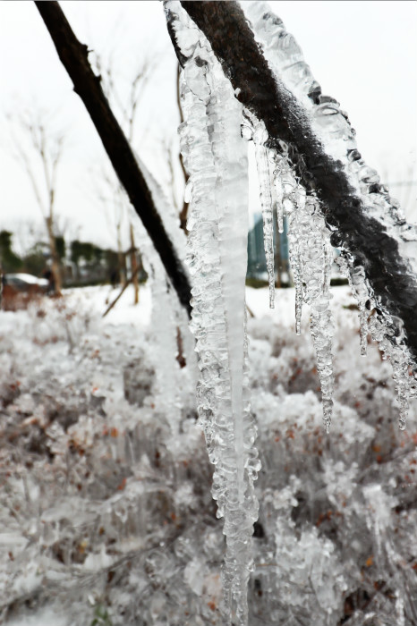 一場雪，體育中心美得不要不要的</br>但最美的風景還是他們(圖4)